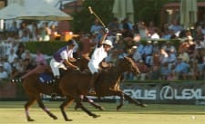 Polo in Sotogrande