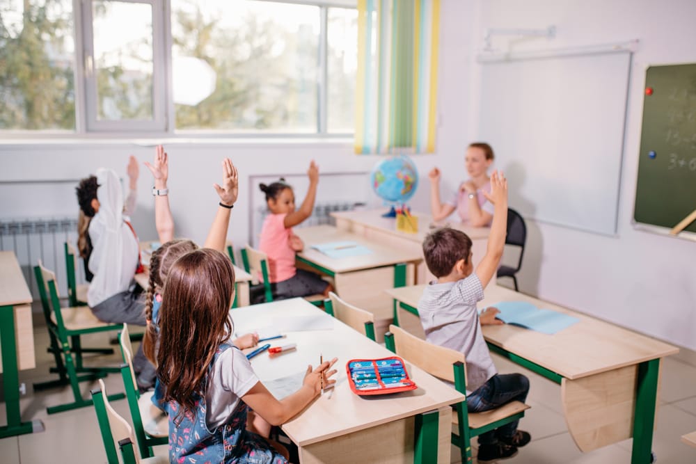 Schools in Benahavis