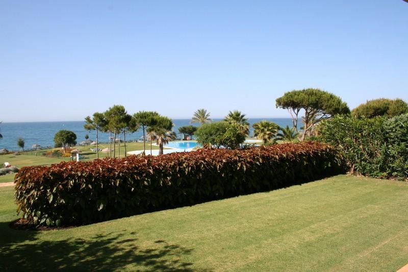 Cabo pino