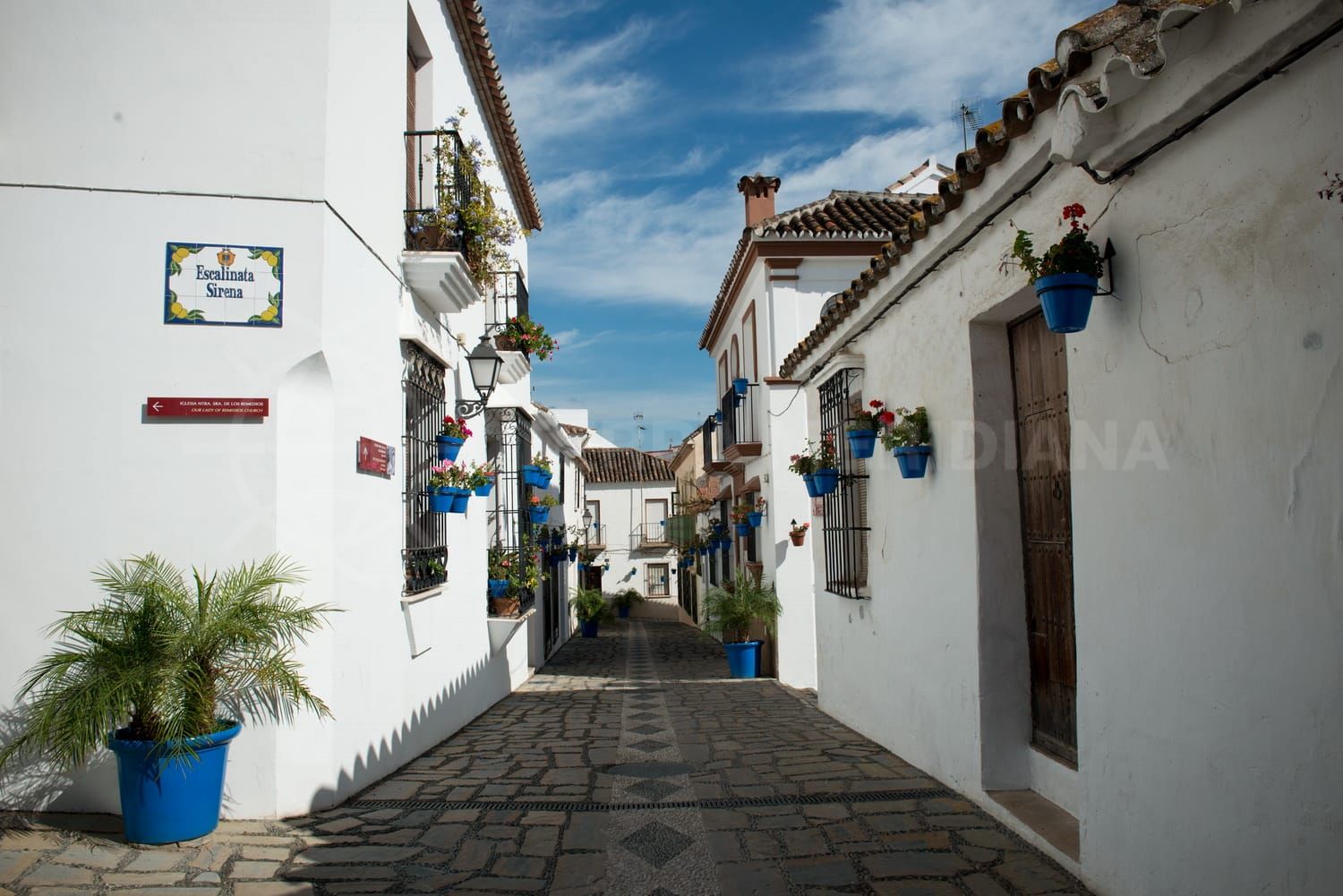 Estepona street