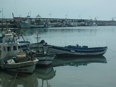 Estepona Property, a solid investment