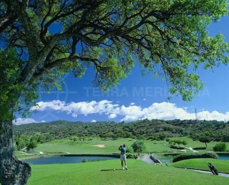 The Costa del Golf hits another hole in one