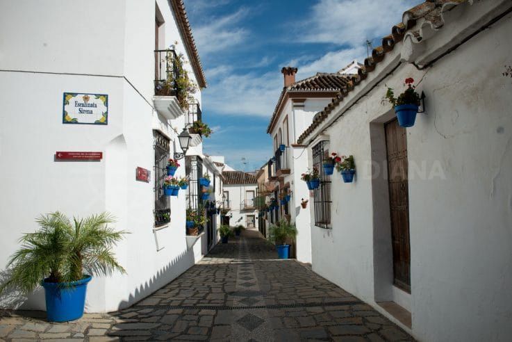 Estepona welcomes record tourism numbers in July