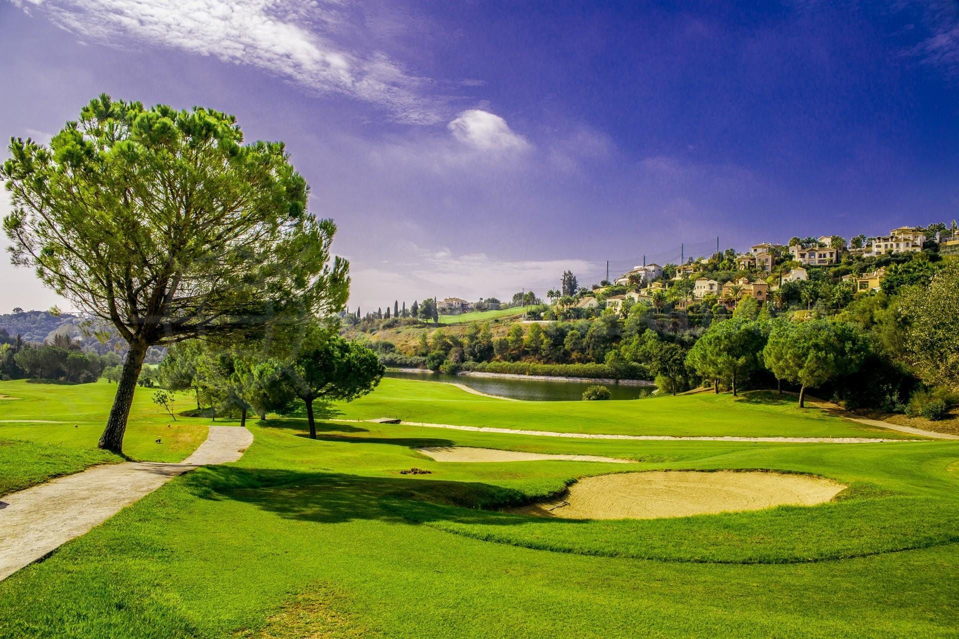 Guide de La Alquería | Vivre à La Alquería