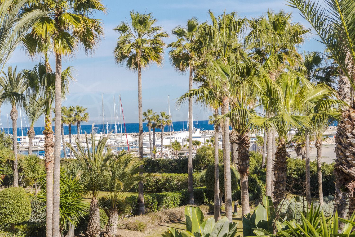 Plages de Sotogrande 