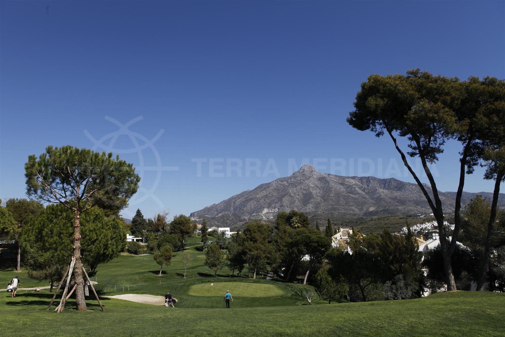 Guia de campos de golf en Marbella