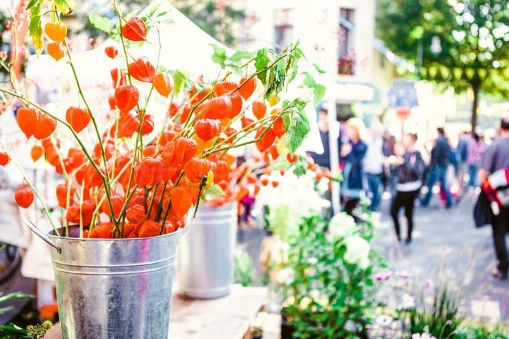 Les marchés itinérants en plein air de Marbella ou “mercadillos”