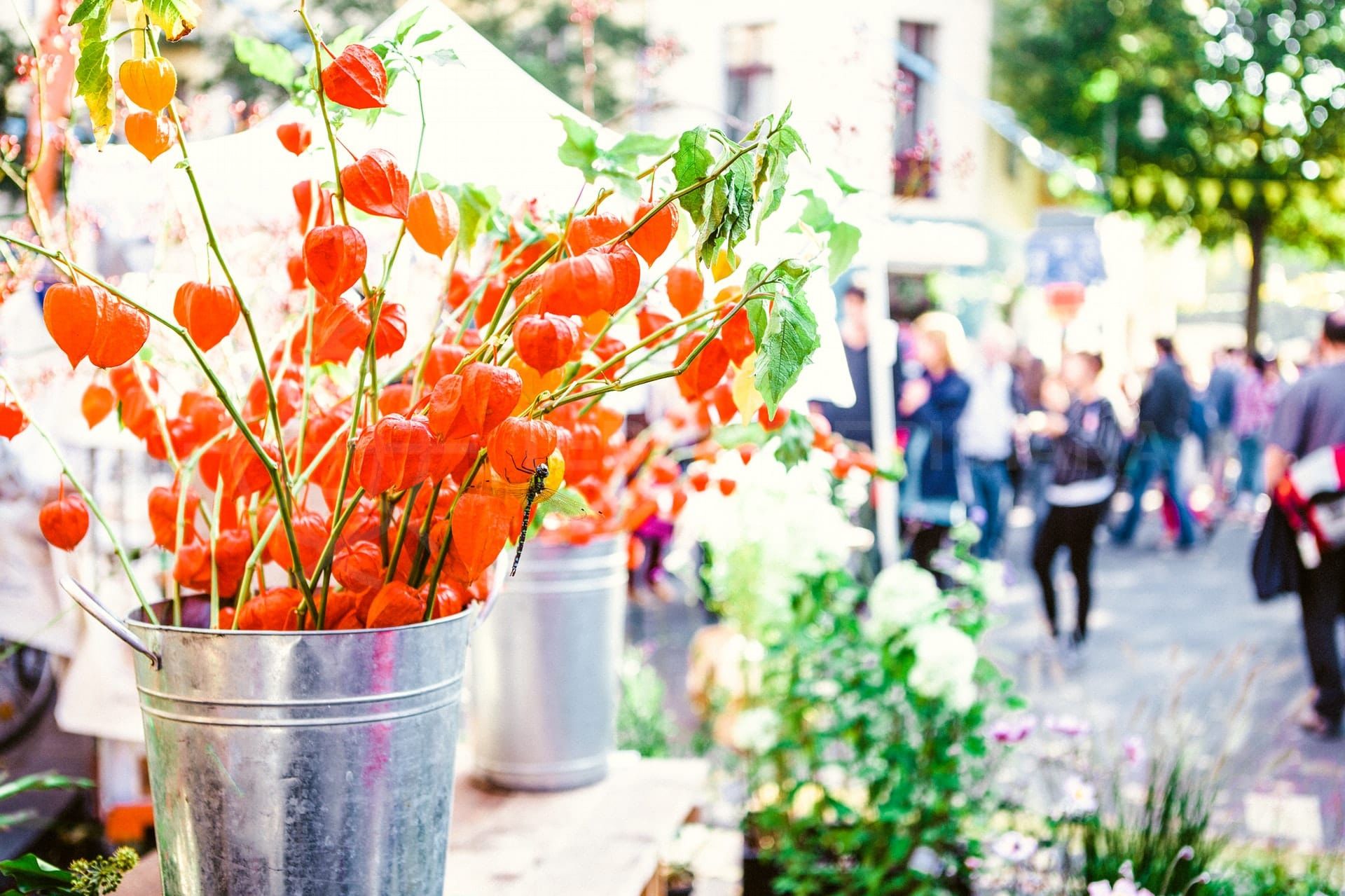 Marbella Open Air Street Markets