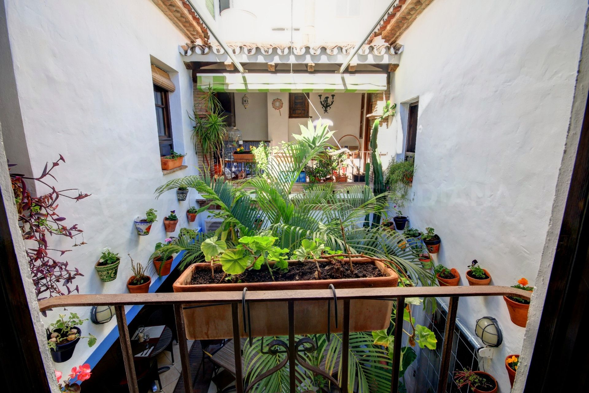 typical courtyard of townhouse in Estepona