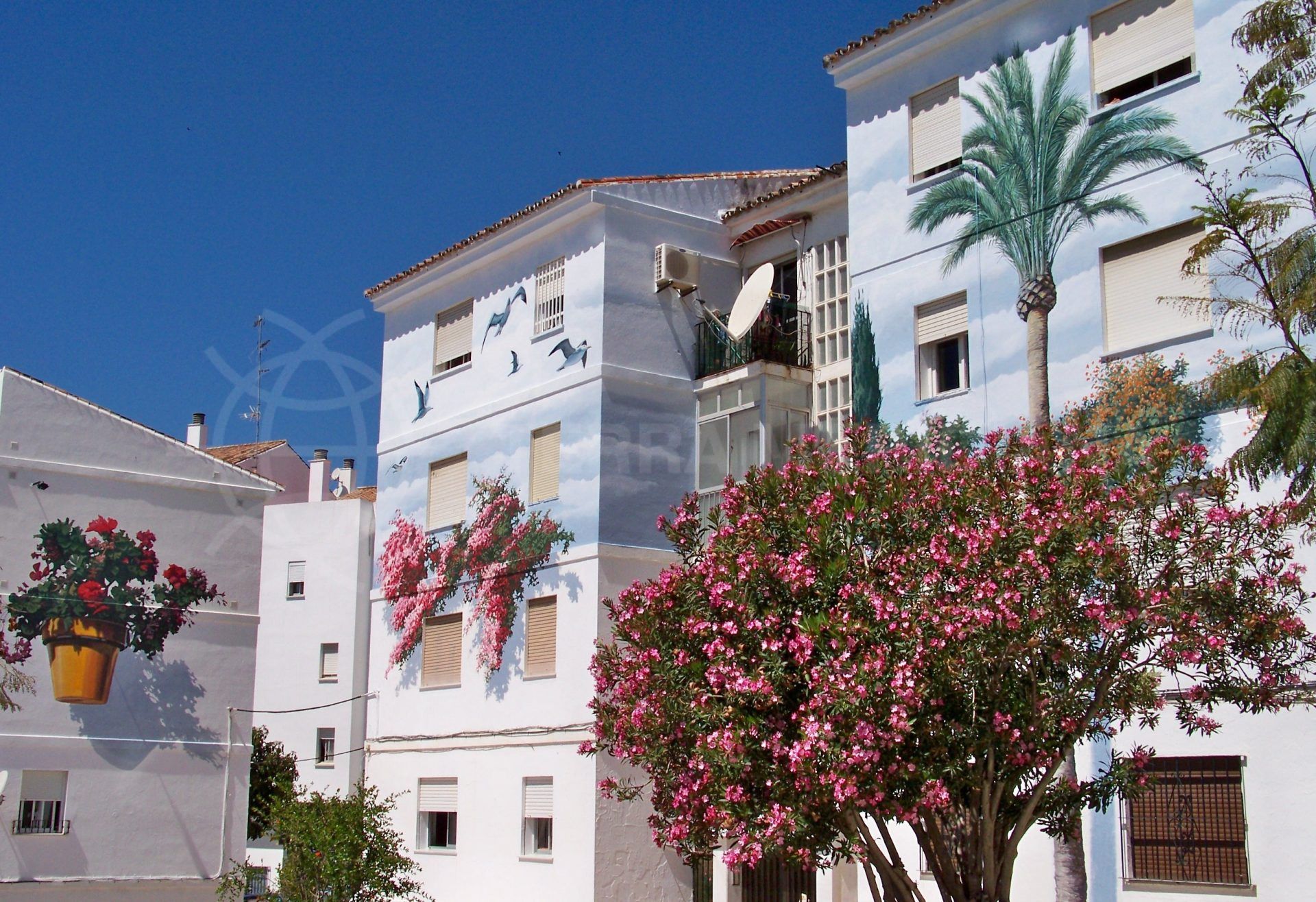 Estepona mural's route