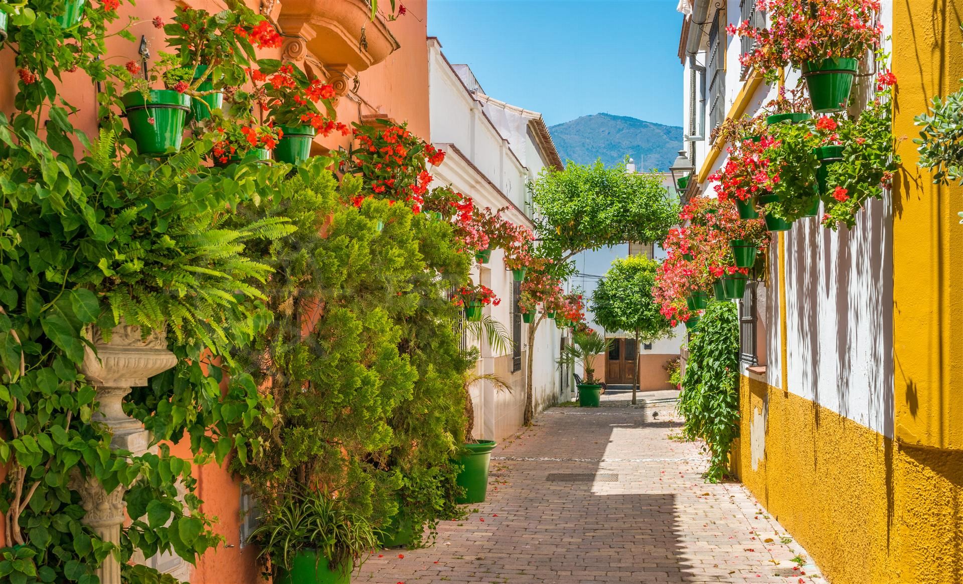 A new measure to make sure old and delpidated buildings are not left to ruin in Estepona old town