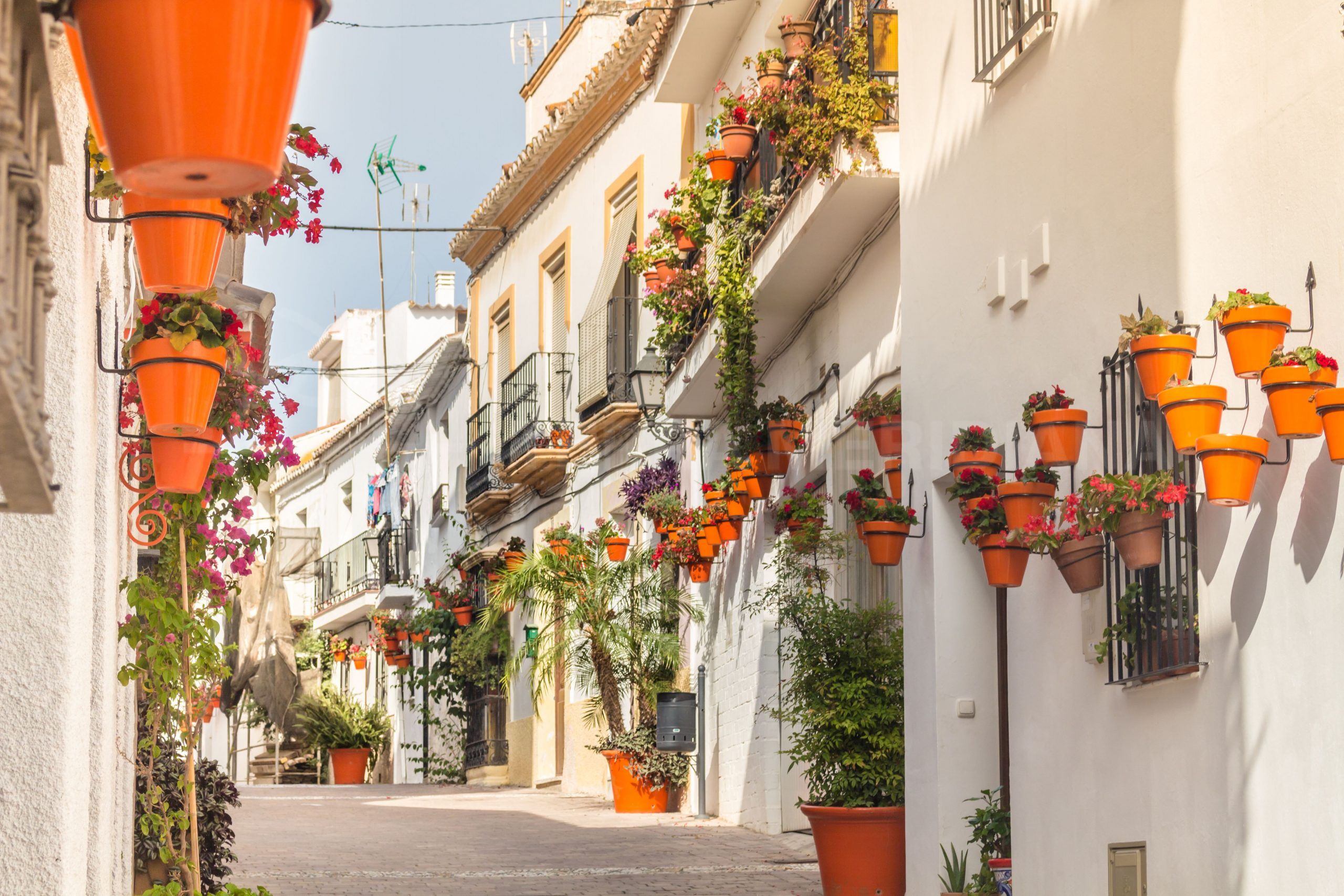 We have launched a new online map to help clients looking to buy in Estepona Old Town