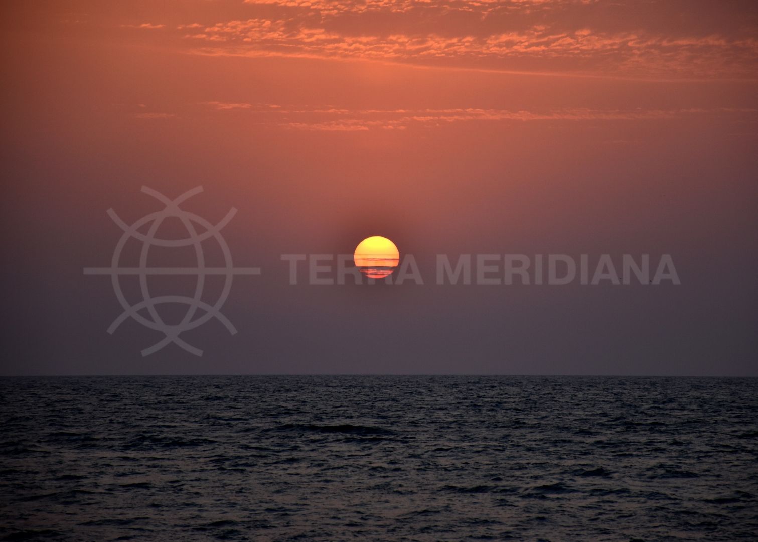 The future of the Spanish Real Estate Market