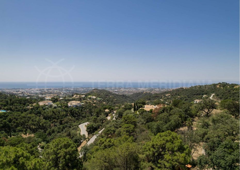 Plot in La Zagaleta